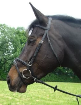 Amerigo Flash Bridle with Rubber Reins Black