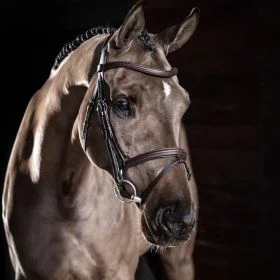 LeMieux Arika Flash Bridle - Brown