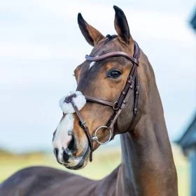 LeMieux Arika Grackle Bridle - Havana