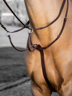 LeMieux Arika Running Martingale - Havana