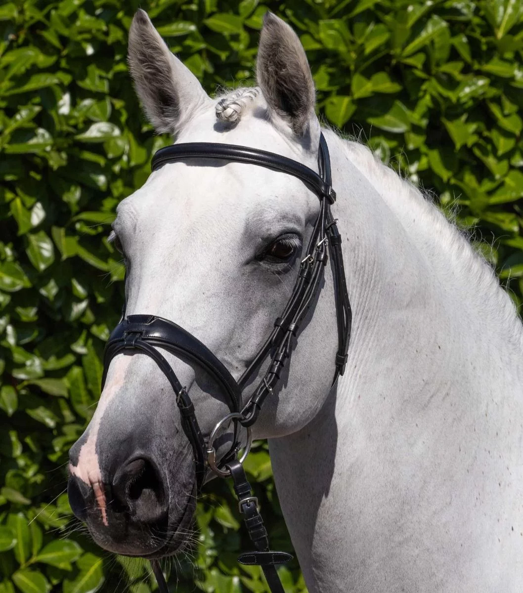 Premier Equine Artana Snaffle Bridle - Black