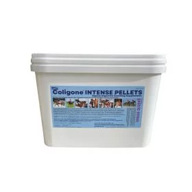 Coligone Intense Pellets 6kg -  H Bradshaw's