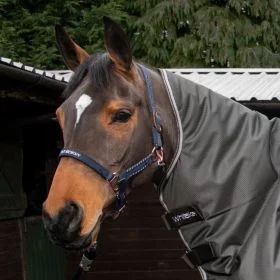 John Whitaker Bradshaw Headcollar with Rose Gold Fittings - Navy