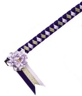 Elico Cayton Browband - Purple