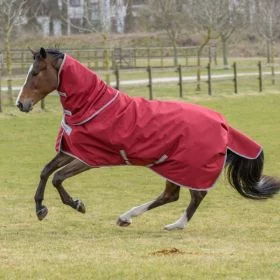 Bucas Irish Turnout Neck Cover  Ruby