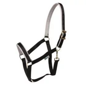 Bucas Dublin Padded Luxury Headcollar  Black - Silver