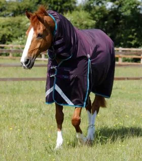 Premier Equine Buster Storm 100g Combo Turnout Rug with Snug-Fit Neck Purple -  Premier Equine