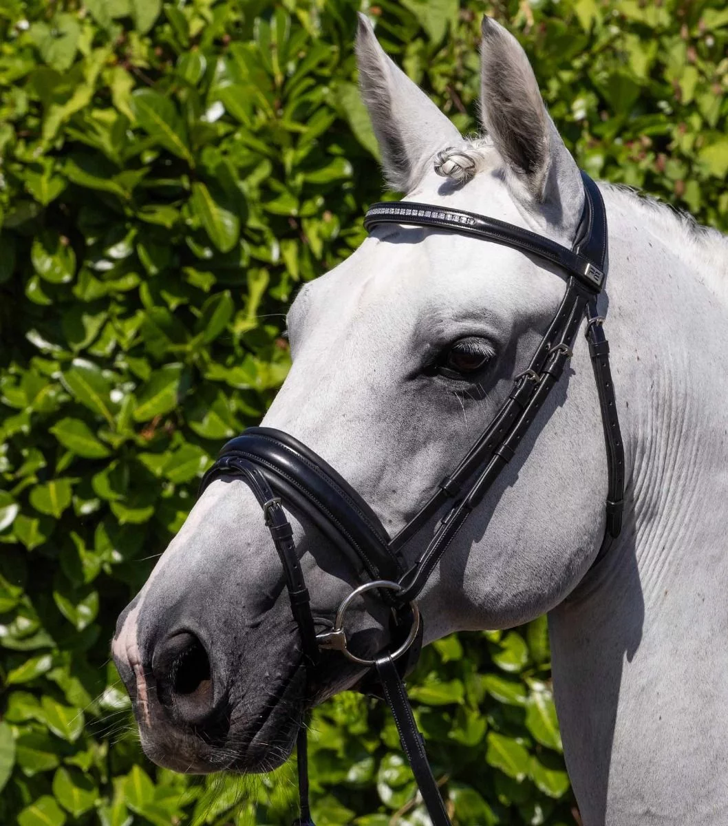 Premier Equine Castello Anatomical Bridle - Black - Premier Equine