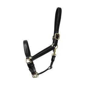 Coldstream Leather Padded Head Collar Black -  Coldstream