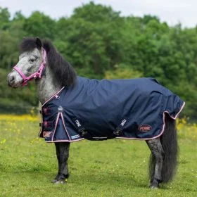 Gallop PONIE Duraproof 50g 5-Point Standard Neck Turnout