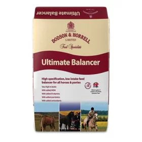 Dodson & Horrell Ultimate Balancer 20KG - Dodson and Horrell