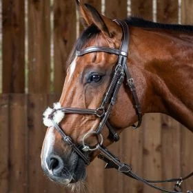 Dy’on Working Collection Grackle Noseband Bridle - Brown