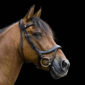 EcoRider Freedom Comfort Bridle - Black