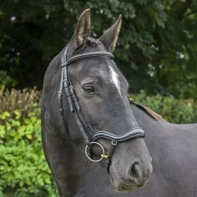 EcoRider Ecosoft Finesse Bridle - EcoRider