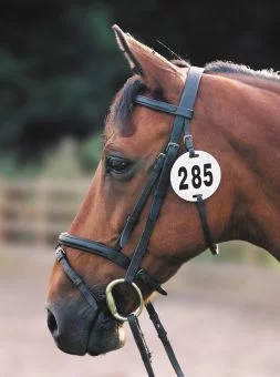Equidisc 3 Number