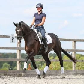 Equilibrium Stretch and Flex Flatwork Wraps - Black - Equilibrium