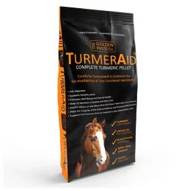 Golden Paste Company Turmeraid