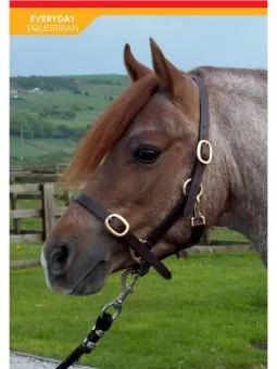John Whitaker Breeder Headcollar Havana