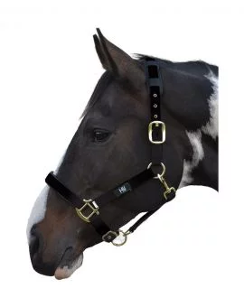 Hy Deluxe Padded Head Collar Black