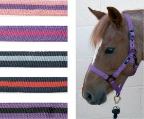 Hy Duo Head Collar