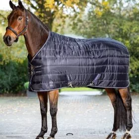 LeMieux Arika Stable-Tek 100g - LeMieux