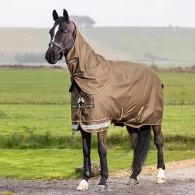 LeMieux Arika Ripstop 0g Turnout Rug Alpine - LeMieux