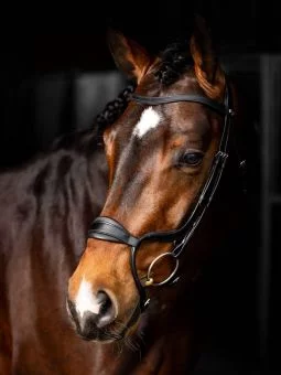 LeMieux Arika Adjustable Anatomic Noseband Bridle Black - LeMieux