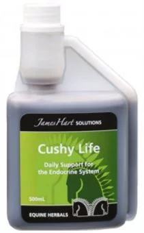 James Hart Cushy Life