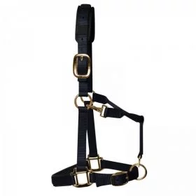 KM Elite Luxury Padded Headcollar Black