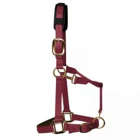 KM Elite Luxury Padded Headcollar Burgundy