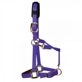 KM Elite Luxury Padded Headcollar Purple