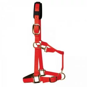 KM Elite Luxury Padded Headcollar Red