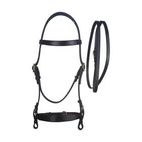 Cameo Equine Inhand Bridle And Lead Black - Cameo Equine