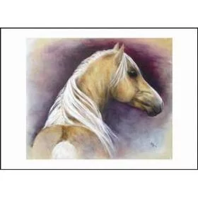 Diane Hennchen Palomino