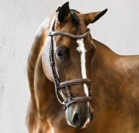 PS of Sweden Paris Bridle - PS of Sweden