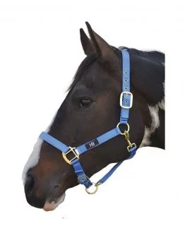 Hy Head Collar