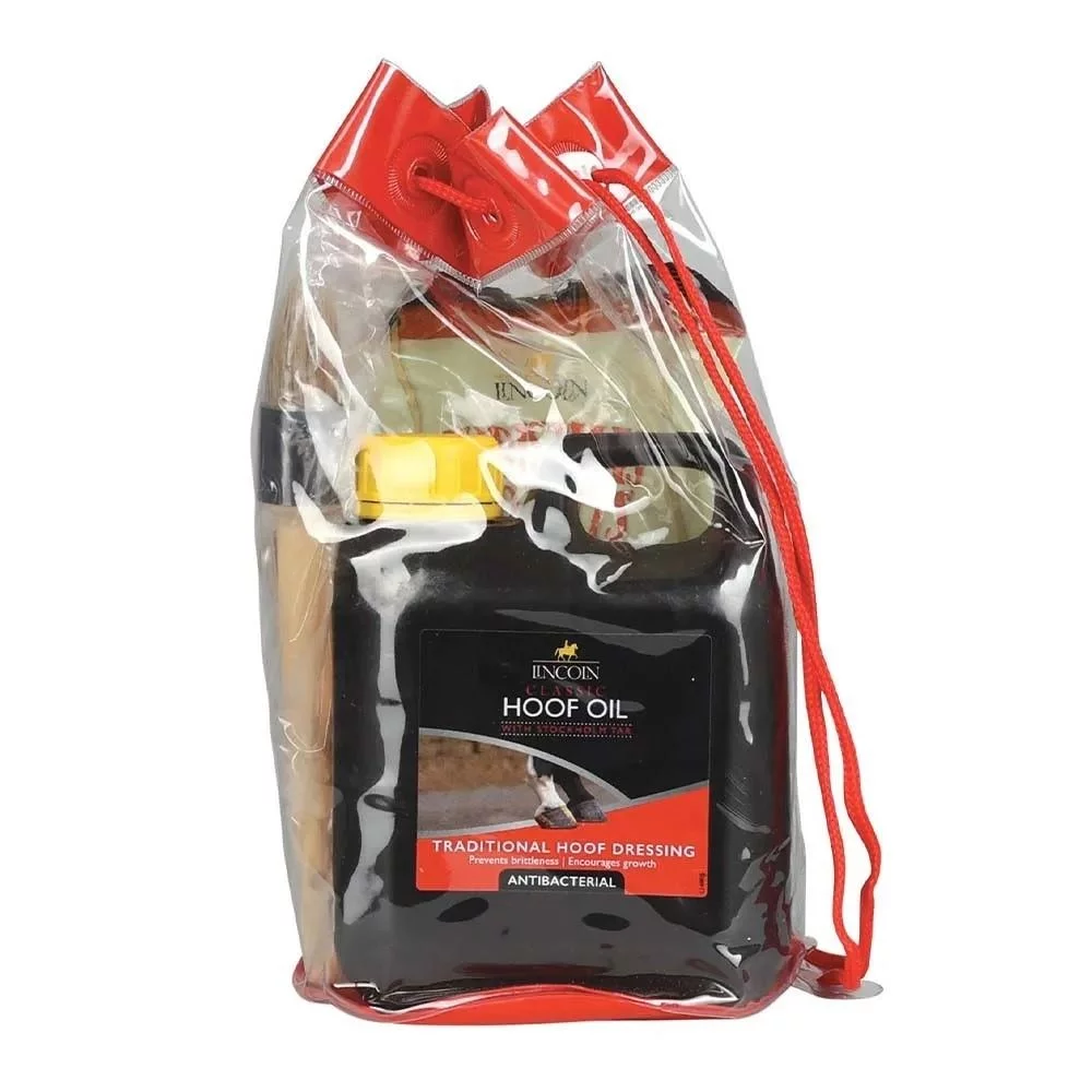 Lincoln Christmas Gift Bag - Lincoln