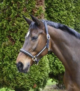 Rhinegold Bellagio Leather Headcollar With Brass Clincher Detailing