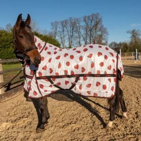 John Whitaker Ladybird Fly Rug -  John Whitaker