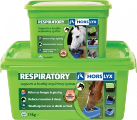Horslyx Respiratory Lick  - Horslyx