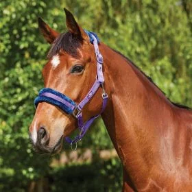 Saxon Element Fleece Headcollar Purple - Saxon