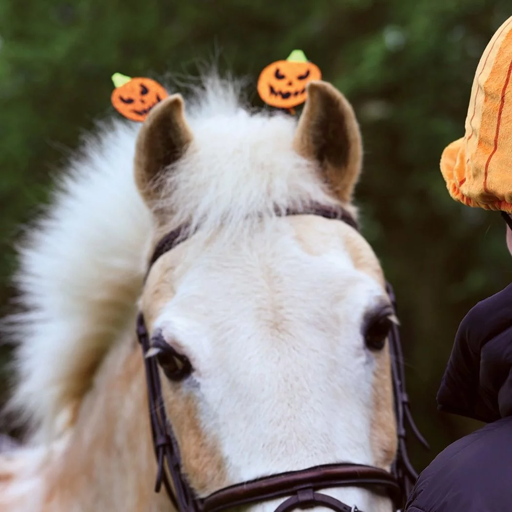 Equetech Wicked Pumpkin Bridle Boppers - Equetech