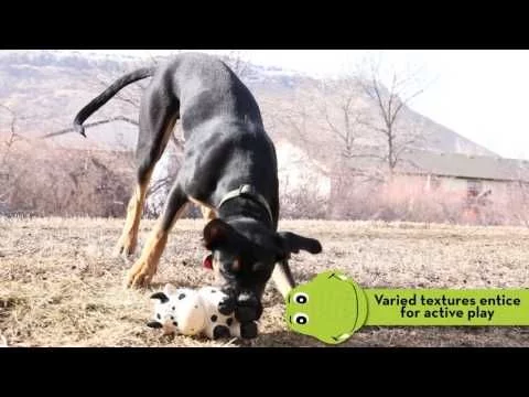 KONG Wiggi Alligator Large Fetch Retrieve Dog Toys Discount Equestrian