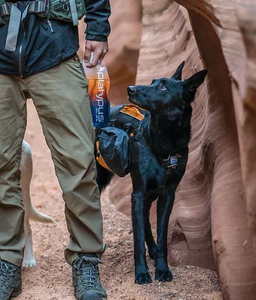 Kurgo Baxter Backpack