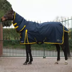 Cheapest sales horse rugs