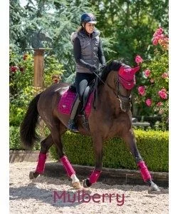 Lemieux Sets Le Mieux Colours Online Discount Equestrian