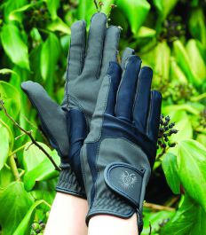 Buy riding shop gloves online