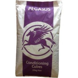 Spillers Conditioning 20kg | Horse Feed