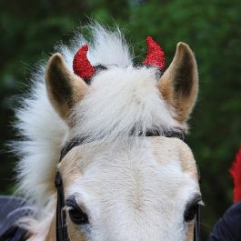Horse christmas fancy dress deals