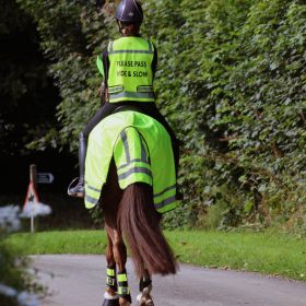 Woof Wear Winter Hi Vis Exercise Sheet - Woof Wear